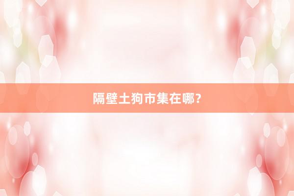 隔壁土狗市集在哪？