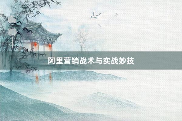 阿里营销战术与实战妙技